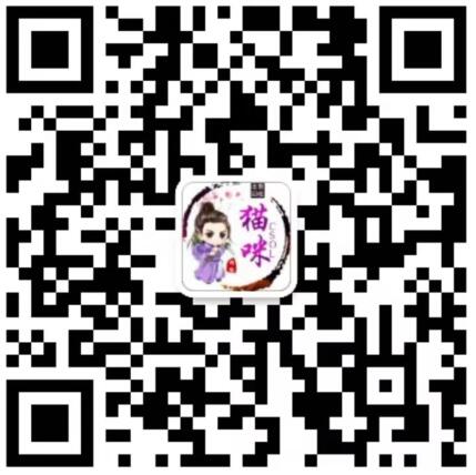CSOL提示“无法连接网络，请检查网络设置。Errorcode:28”解决办法-猫咪网络