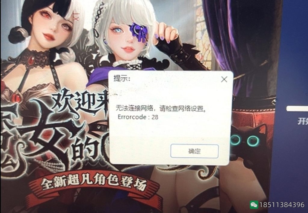 CSOL提示“无法连接网络，请检查网络设置。Errorcode:28”解决办法-猫咪网络